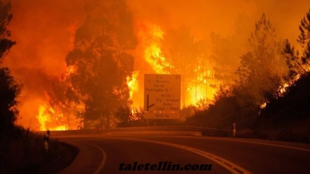 FEMA จะประกาศภัยพิบัติจากความร้อนและควันไฟป่าหรือไม่ ผู้นำรัฐต่างๆ เตือนถึงอนาคตที่ร้อนระอุและมีควันมากขึ้น ในสหรัฐฯ แต่คำร้องของพวกเขาใน